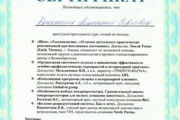 Сертификат Колоскиной А.С.