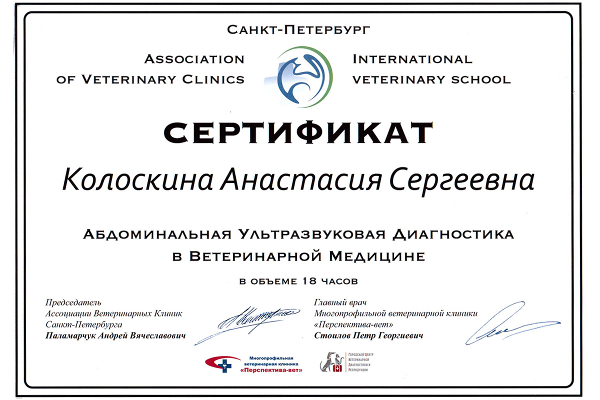 Сертификаты спб мужчине. Сертификат в клинику. Сертификат ветеринара. Сертификат в поликлинику. Подарочный сертификат в клинику.