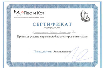 Сертификат Алексашина Ольга Анатольевна