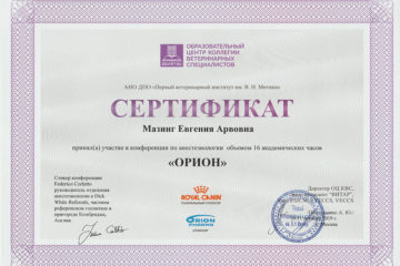 Сертификат Мазинг Евгения Арвовна