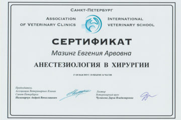 Сертификат Мазинг Евгения Арвовна